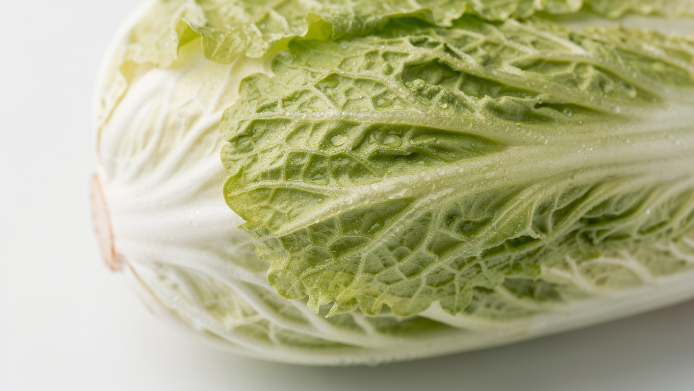봄동 효능 — fresh bomdong cabbage leaves macro photography, wh