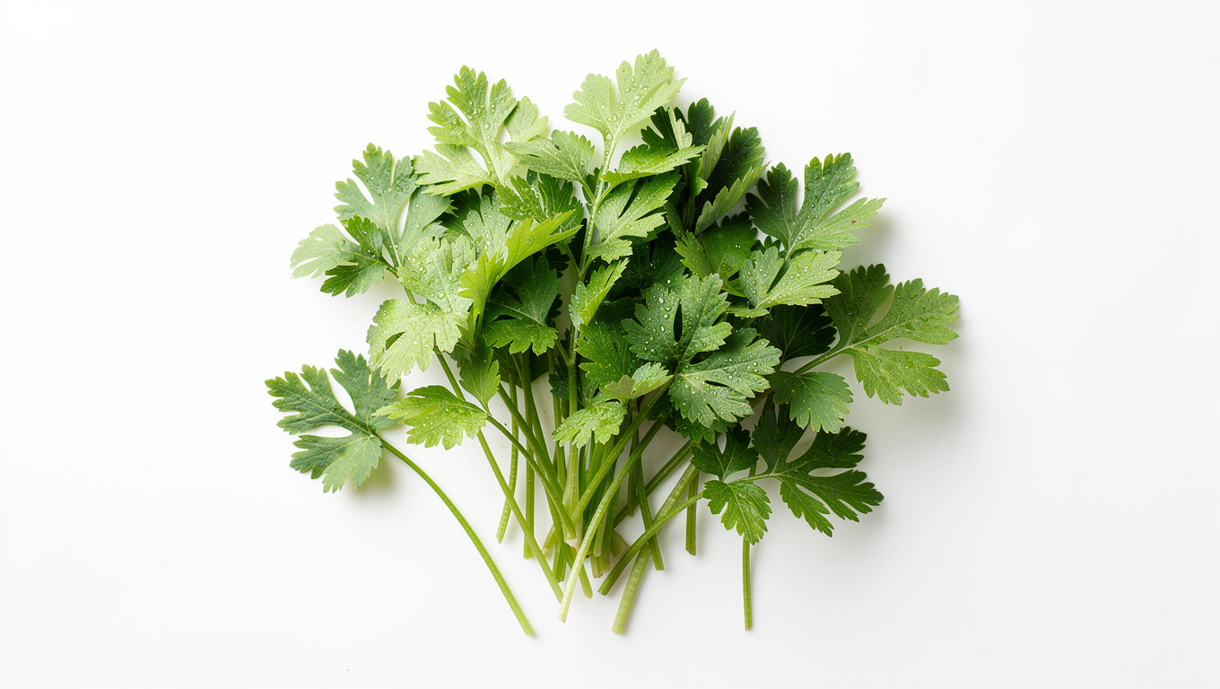 참나물 효능 — fresh Korean chamnamul pimpinella brachycarpa gree
