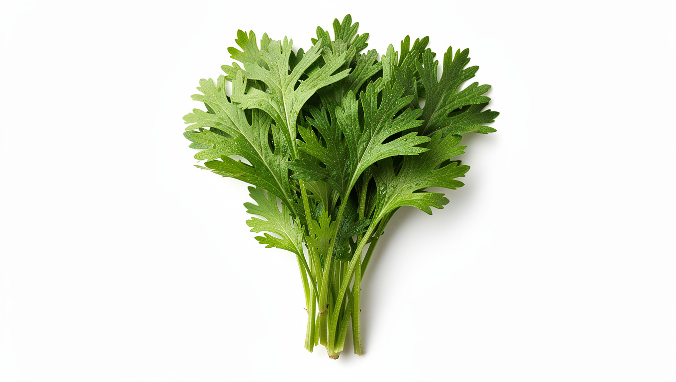 봄나물 종류 — Korean mugwort ssuk fresh bunch on white backgroun