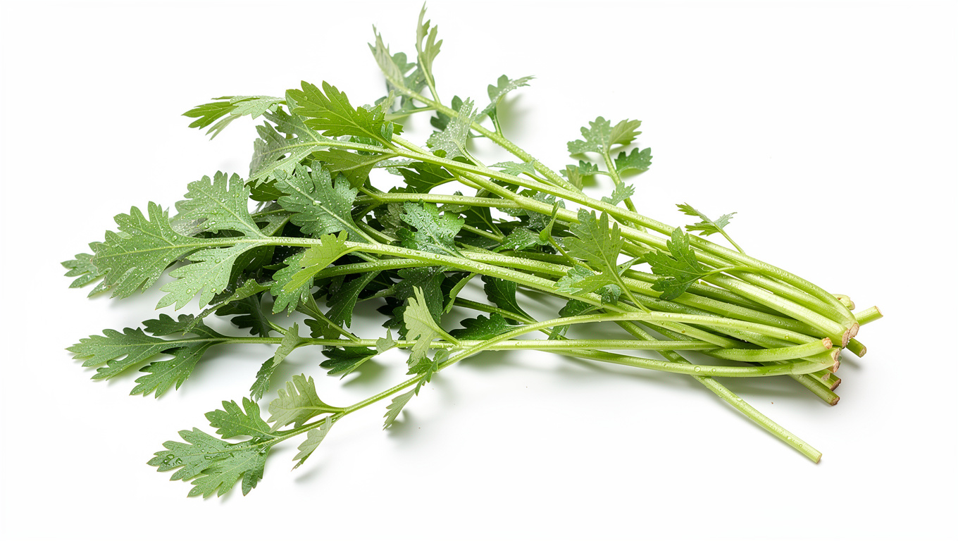 미나리 효능 — fresh Korean minari water parsley on white backgro
