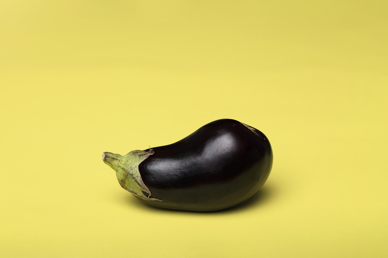 가지 보관법 관련 이미지 5